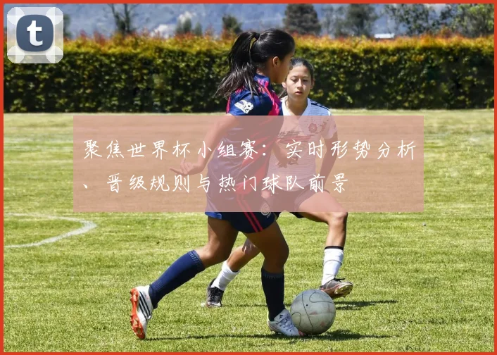 聚焦世界杯小组赛：实时形势分析、晋级规则与热门球队前景