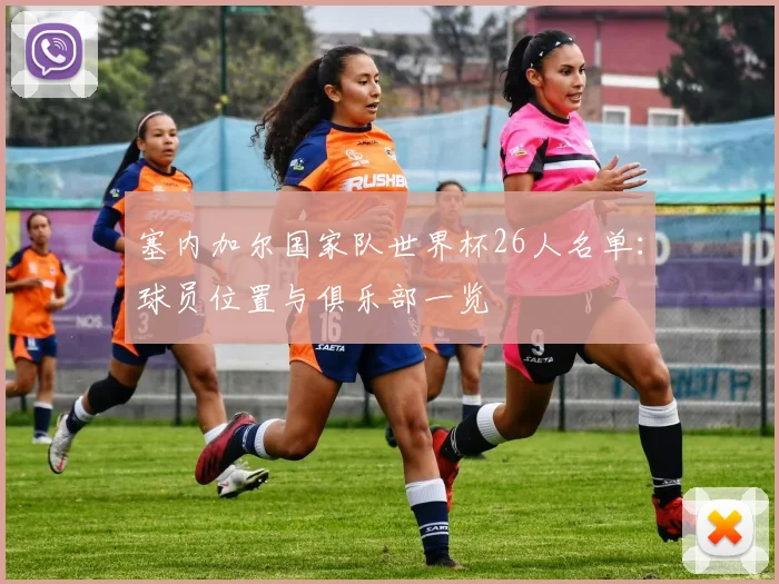 塞内加尔国家队世界杯26人名单:球员位置与俱乐部一览