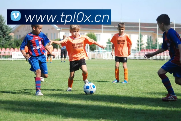 乐鱼在线登录-首页平台生态图